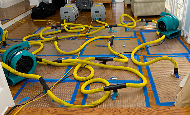 Professional Water Damage Restoration technician working in Litchfield, MN